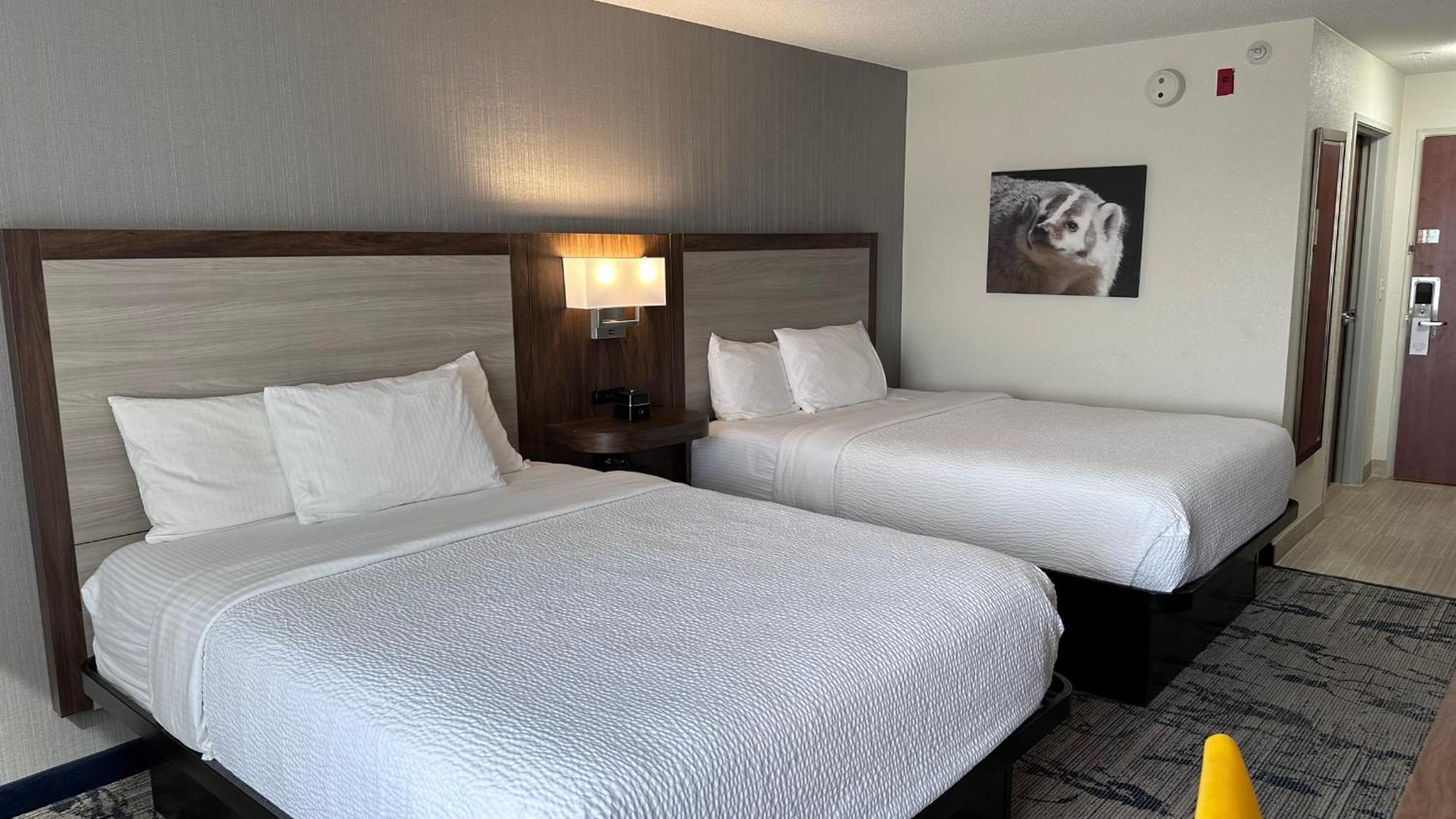 מלון La Quinta By Wyndham Milwaukee Sw ניו ברלין מראה חיצוני תמונה