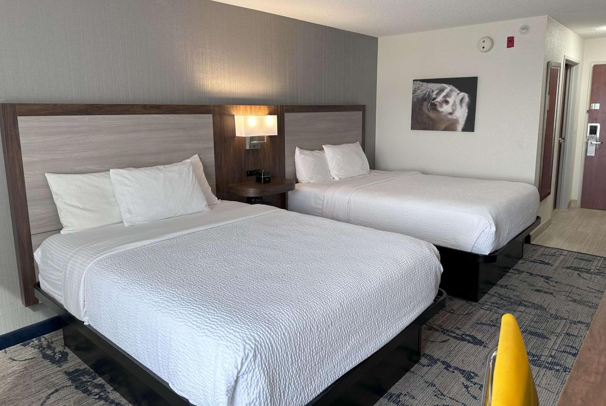 מלון La Quinta By Wyndham Milwaukee Sw ניו ברלין מראה חיצוני תמונה